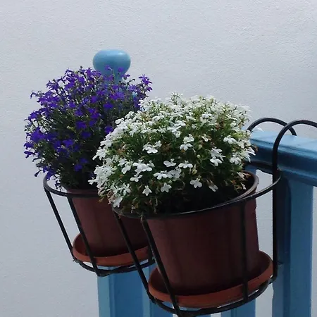 Panorama Hotel Naxos City