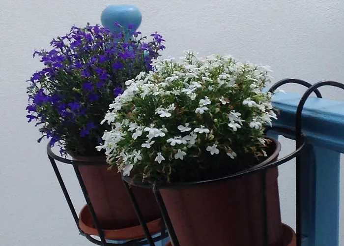 Hotell Panorama Naxos City