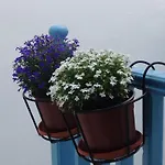 ホテル パノラマ Naxos City