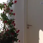 パノラマ Naxos City