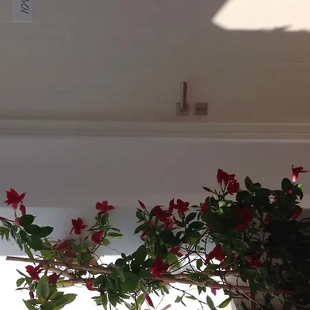 Отель Panorama Naxos City