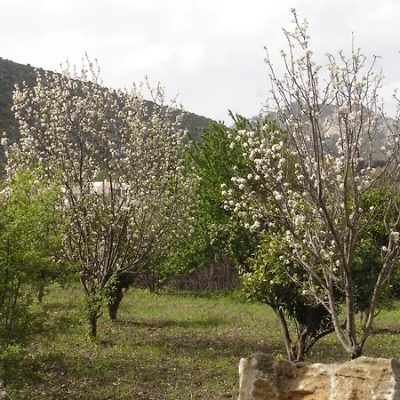 πανόραμα Naxos City