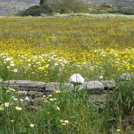 Ξενοδοχείο πανόραμα 2*