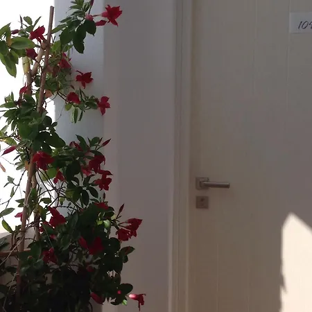 パノラマ Naxos City
