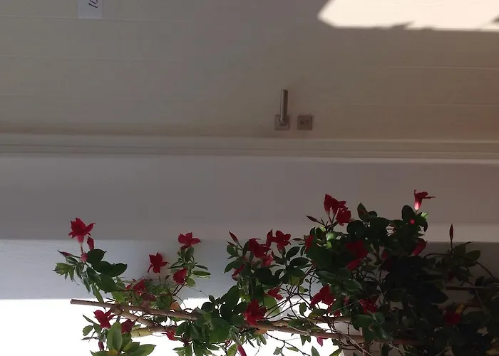 Hotel Panorama Naxos City