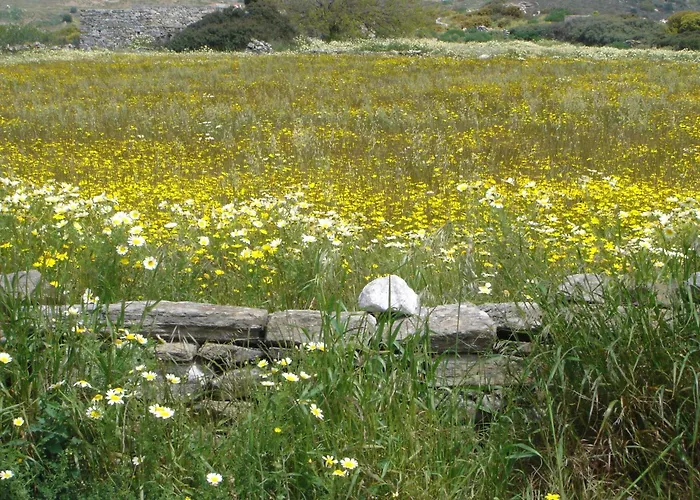 Ξενοδοχείο πανόραμα 2*