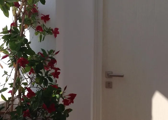 πανόραμα Naxos City